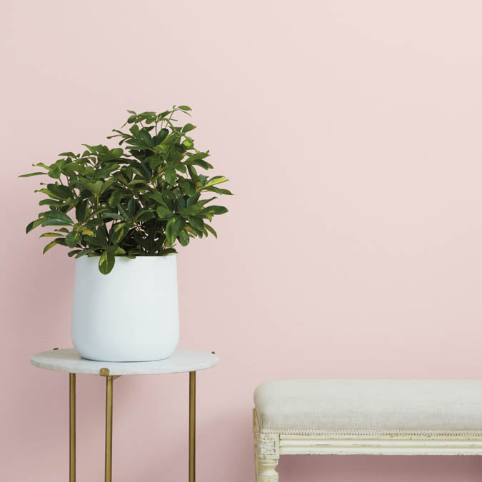 A beautiful home interior room painted in Baby Soft, the perfect soft baby pink paint color from Clare. Baby Soft is a classic light pink paint color that's soft and sweet. Shop now and get premium, zero VOC paint delivered to your door.