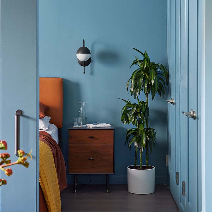 A beautiful home interior room painted in Blue Ivy, the perfect blue ivy color from Clare. Blue Ivy is a vibrant, medium blue paint color that's sure to liven up any space.  Shop now.
