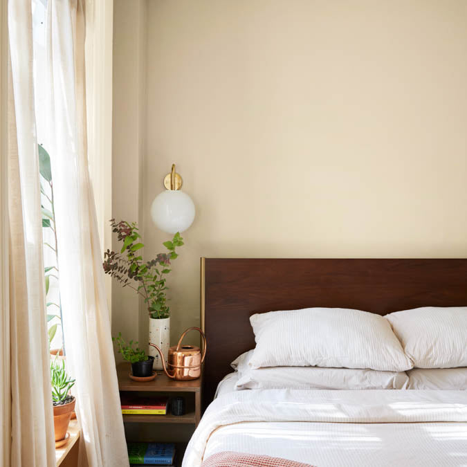 A beautiful home interior room painted in Turbinado, the perfect warm beige paint color from Clare. Turbinado is a true, warm tan paint color paint color reminiscent of honey colored sugar crystals. Shop now.